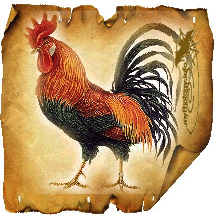 hermes rooster|hermes characteristics wikipedia.